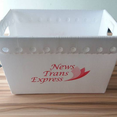 PP Postal Totes Hộp doanh thu nhựa sóng 3 mm Coroplast