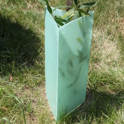 Tấm nhựa bảo vệ cây hình tam giác Tấm bảo vệ cây Corflute 2mm