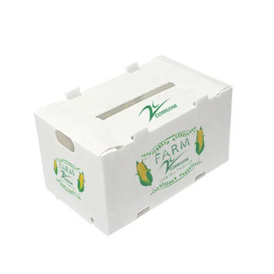 Hộp đựng trái cây bằng nhựa Polypropylen Đóng gói Lưu trữ Vận chuyển