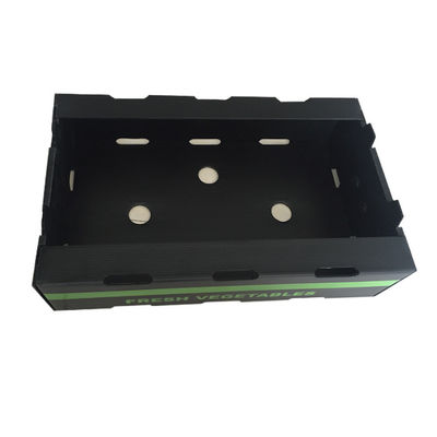 Corrugated Plastic Box Storage Box PP Vegetable Packing Box Polypropylene