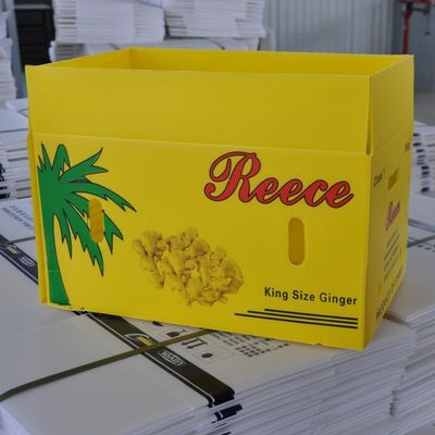 Bao bì nhựa sóng thực vật Hộp sóng tái sử dụng Coroplast