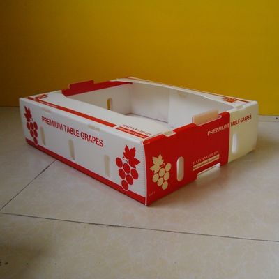 Hộp sóng Polypropylen 5 mm cho bao bì trái cây không thấm nước