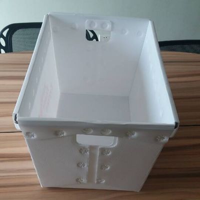 PP Postal Totes Hộp doanh thu nhựa sóng 3 mm Coroplast