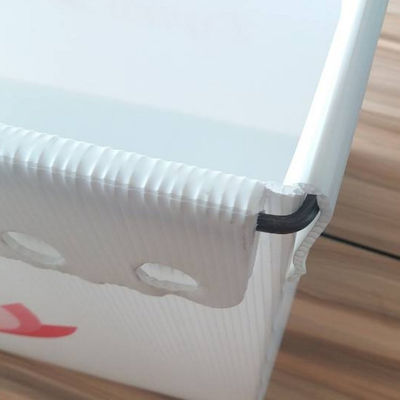 PP Postal Totes Hộp doanh thu nhựa sóng 3 mm Coroplast