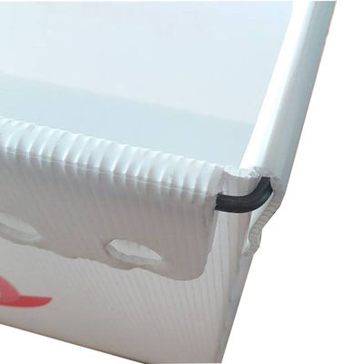 Coroplast 3 mm USPS Vận chuyển Túi nhựa Nhẹ Bền