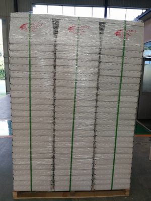 Hộp thư bằng nhựa Polypropylen trắng có dây đeo bằng thép