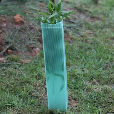 Corflute Tấm nhựa bọc cây Bảo vệ cây nhựa cứng 2 mm