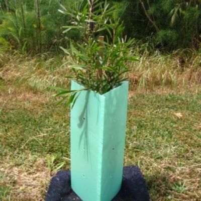 Corflute Tấm nhựa bọc cây Bảo vệ cây nhựa cứng 2 mm