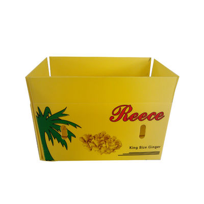 Hộp bao bì rau củ dạng sóng PP Hộp sóng rau củ 5mm