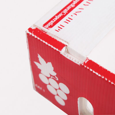 Corflute Sản phẩm tươi Hộp các tông Hộp đóng gói trái cây Kiwi Coroplast
