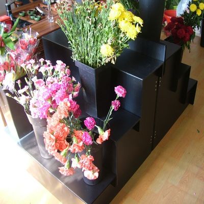 Đế trưng bày hoa tươi Corflute 5 mm màu đen cho vườn nhà