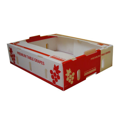 Bảo quản độ tươi hộp xoài Corflute tùy chỉnh