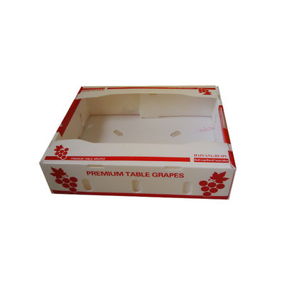 Bảo quản độ tươi hộp xoài Corflute tùy chỉnh