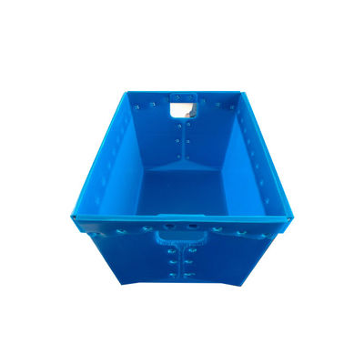 Hộp nhựa gấp nhiều màu Tote Tấm nhựa Twinwall ép đùn