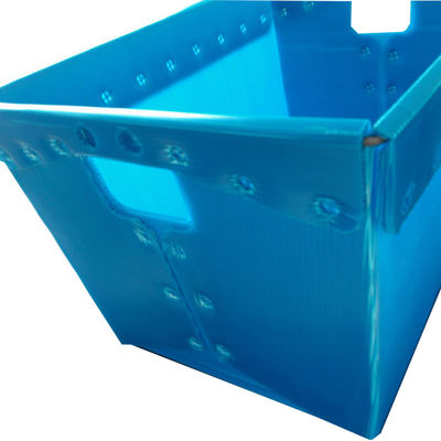 Hộp nhựa gấp nhiều màu Tote Tấm nhựa Twinwall ép đùn