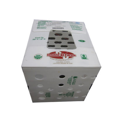 Hộp sóng rau tươi nhiều màu Hộp PP sóng 3mm