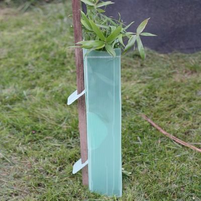 Rỗng PP Corflute Tree Guards Triangle Twinwall Bọc cây nhựa