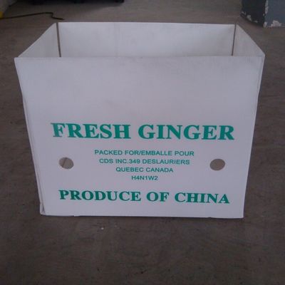 Hộp nhựa sóng gấp 3 mm Hộp Polypropylen sóng rỗng
