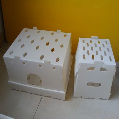 Doanh thu Hộp nhựa sóng PP Hộp lưu trữ Corflute rỗng