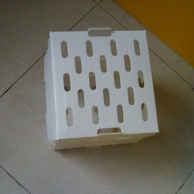 Doanh thu Hộp nhựa sóng PP Hộp lưu trữ Corflute rỗng