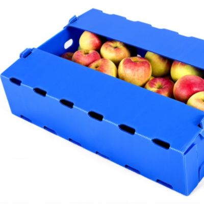 Blue Coroplast Apple Fruit Hộp Bao bì Polypropylene Chống ẩm