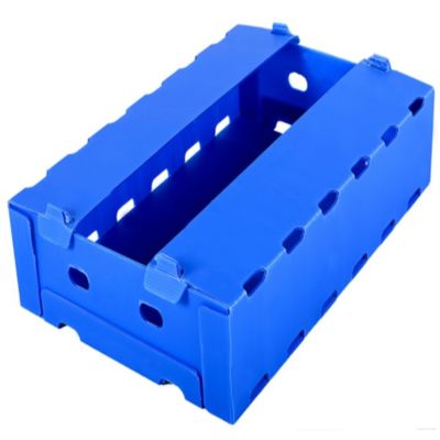 Blue Coroplast Apple Fruit Hộp Bao bì Polypropylene Chống ẩm