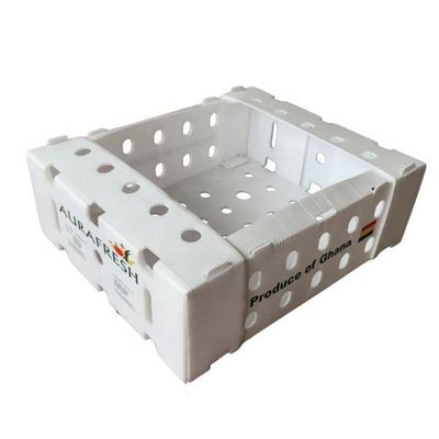 Hộp đóng gói cà chua Coroplast có thể gập lại Hộp đóng gói rau tái sử dụng