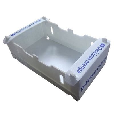 Hộp đóng gói cà chua Coroplast có thể gập lại Hộp đóng gói rau tái sử dụng
