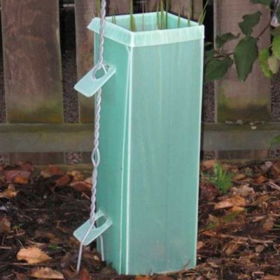Bảo vệ cây bằng nhựa Polypropylen Corflute Vine Bảo vệ chống va đập