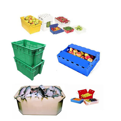 Hộp đóng gói trái cây Polypropylen Hộp đóng gói đào xanh Coroplast