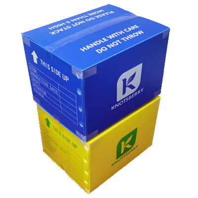 Hộp đóng gói bằng nhựa Polypropylen PP Trọng lượng nhẹ Tùy chỉnh