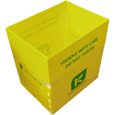 Hộp đóng gói bằng nhựa Polypropylen PP Trọng lượng nhẹ Tùy chỉnh