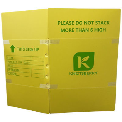 Thùng đóng gói bằng nhựa sóng thiết kế cho công cộng và thương mại, cung cấp hiệu suất trong hệ thống quản lý chất thải