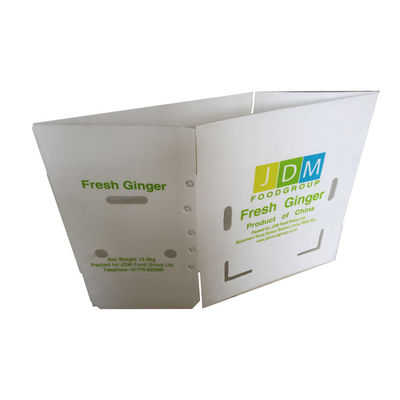 Twinwall PP Fluted Polypropylene Coroplast Box Tùy chỉnh
