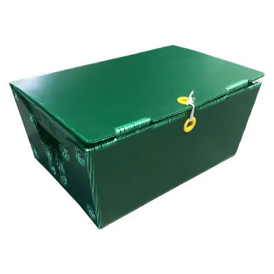 Polypropylene Bưu điện Tote Hộp nhựa sóng Thùng cứng Tùy chỉnh có tay cầm