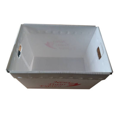 PP Postal Mail Tote Hộp rỗng Thùng cứng Tùy chỉnh có tay cầm