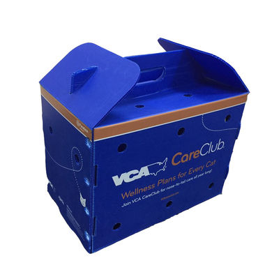 Hộp đóng gói trái cây an toàn thực phẩm được làm bằng vật liệu polypropylene cung cấp tính năng chống thấm nước và chống va chạm cho các giải pháp vận chuyển trái cây