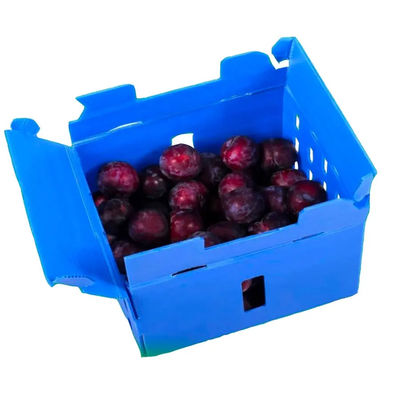 Hộp đóng gói rau nhựa bằng nhựa Polypropylen Hộp đóng gói lưu trữ nhẹ cứng nhắc