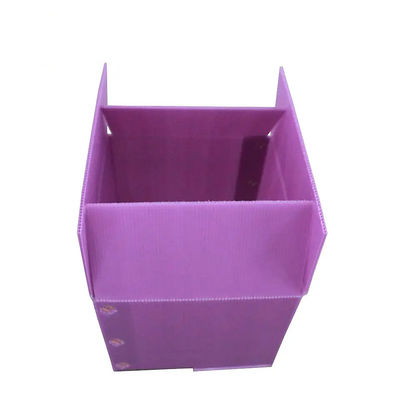 Hộp đựng rau quả nhẹ cứng nhắc Hộp lưu trữ bằng nhựa