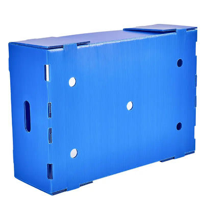 Bảo quản trái cây Vận chuyển Hộp nhựa sóng Hộp đóng gói trái cây Polypropylen