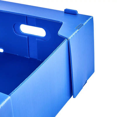 Bảo quản trái cây Vận chuyển Hộp nhựa sóng Hộp đóng gói trái cây Polypropylen