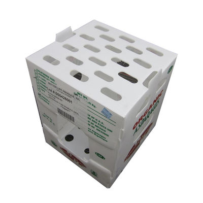 Hộp đóng gói rau polypropylen tùy chỉnh hộp nhựa lốp PP