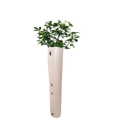 Bảo vệ cây bằng nhựa lồi lồi bảo vệ cây mọt khỏi bị gặm nhấm