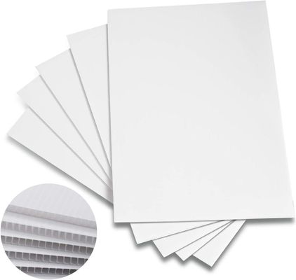 PP Lớp nhựa lồi lồi Corflute bảng gấp nhẹ tùy chỉnh bền