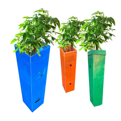 Polypropylene Corflute Tree Guard Bảo vệ cây nho nhựa lồi