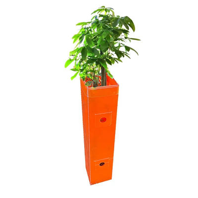 Polypropylene Corflute Tree Guard Bảo vệ cây nho nhựa lồi