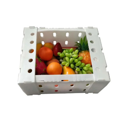 Hộp đóng gói rau polypropylene PP hộp đóng gói nhựa lợp tùy chỉnh