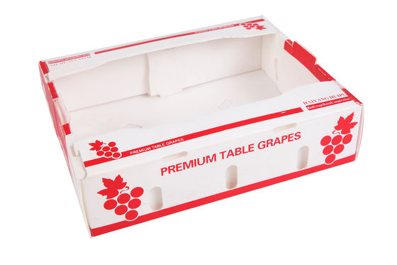 Hộp đóng gói rau polypropylene PP hộp đóng gói nhựa lợp tùy chỉnh