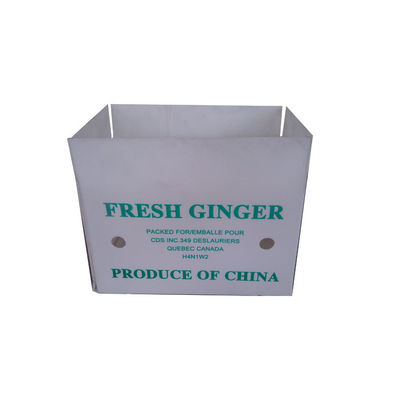 Hộp đóng gói rau polypropylene PP hộp đóng gói nhựa lợp tùy chỉnh