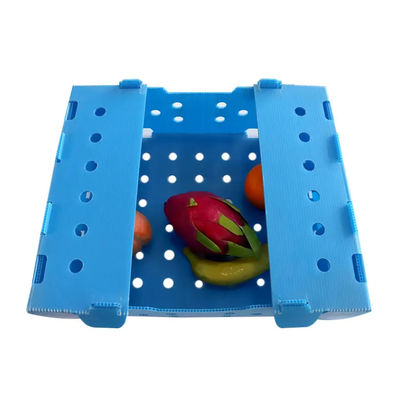 Hộp nhựa đục lỏng PP hộp đóng gói trái cây Corflute tùy chỉnh tái chế